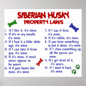 SIBERIAN HUSKY PL2 POSTER (Vorne)