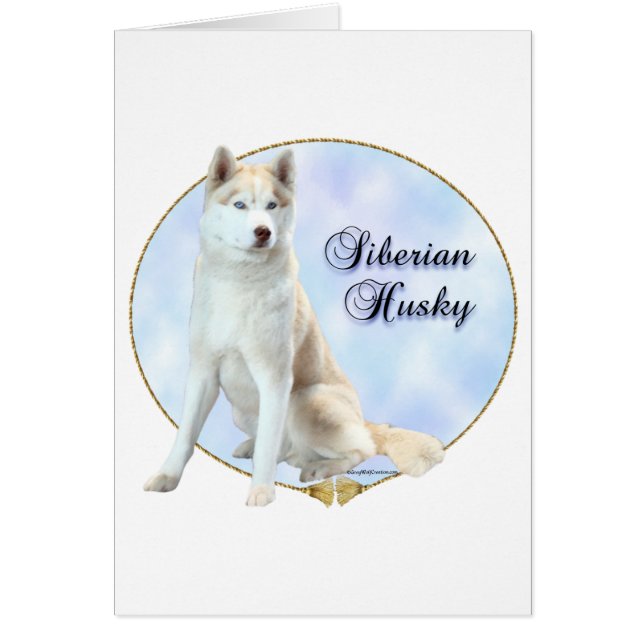 Siberian Husky Portrait (Vorne)