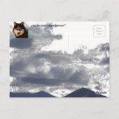 Siberian Husky Postcard Postkarte (Rückseite)