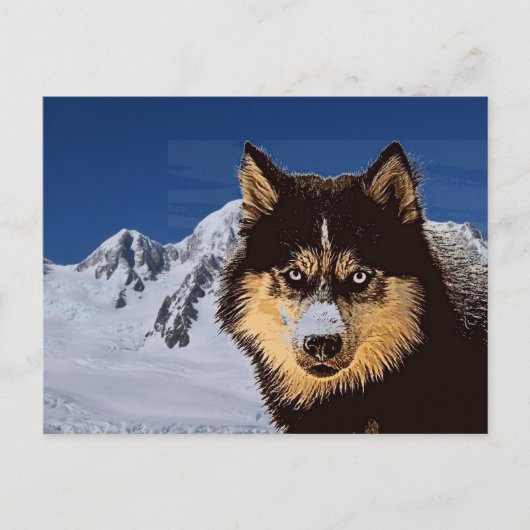 Siberian Husky Postcard Postkarte (Vorderseite)