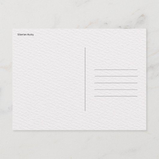 Siberian Husky Postcross Postkarte (Rückseite)