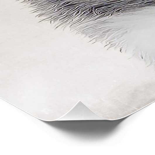 Siberian Husky Poster (Ecke)