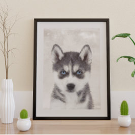 Siberian Husky Poster
