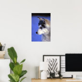 Siberian Husky Poster (Heimbüro)
