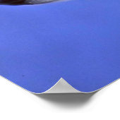 Siberian Husky Poster (Ecke)