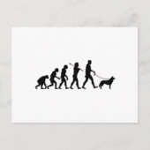 Siberian Husky Postkarte (Vorderseite)