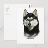 Siberian Husky Postkarte (Vorne/Hinten)