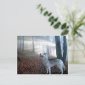 Siberian Husky - Postkarte (Stehend Vorderseite)