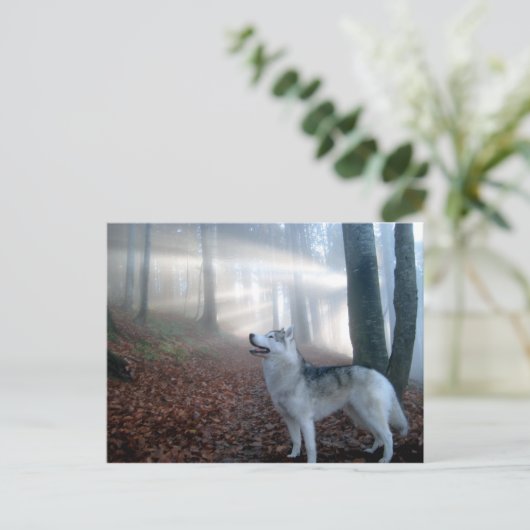 Siberian Husky - Postkarte (Stehend Vorderseite)