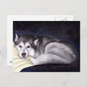 Siberian Husky Postkarte (Vorne/Hinten)