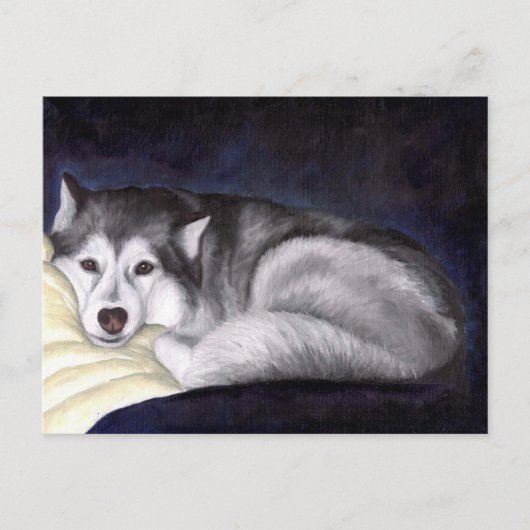 Siberian Husky Postkarte (Vorderseite)