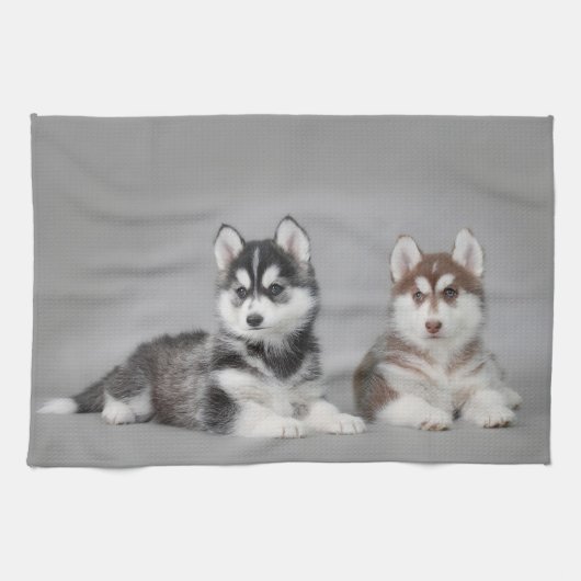 Siberian husky puppies handtuch (Horizontal)