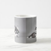 Siberian husky puppies kaffeetasse (Mittel)