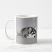 Siberian husky puppies kaffeetasse (Links)