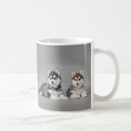 Siberian husky puppies kaffeetasse (Rechts)