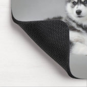 Siberian husky puppies mousepad (Ecke)