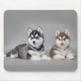 Siberian husky puppies mousepad