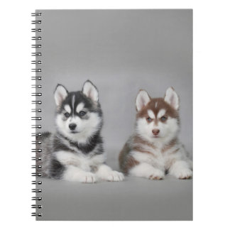 Siberian husky puppies notizblock