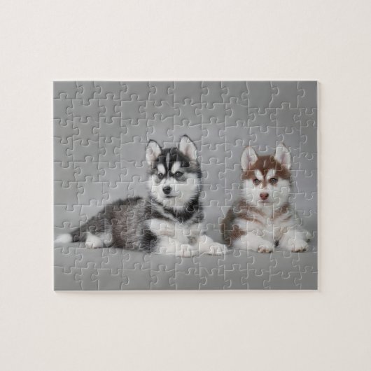Siberian husky puppies puzzle (Horizontal)
