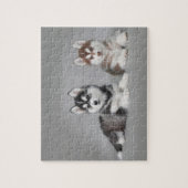 Siberian husky puppies puzzle (Vertikal)