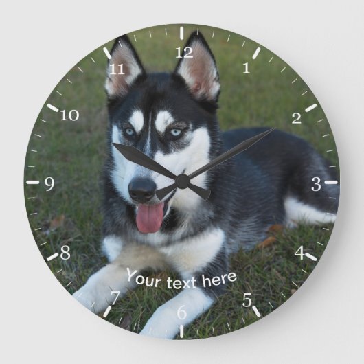 Siberian Husky puppy Große Wanduhr (Vorderseite)