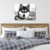 Siberian Husky Puppy Leinwanddruck (Insitu (Schlafzimmer))