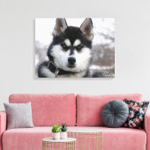 Siberian Husky Puppy Leinwanddruck (Insitu (Wohnzimmer))