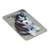 Siberian Husky puppy Magnet (Rechte Seite)