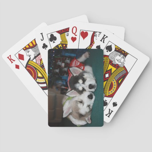 Siberian Husky Puppy Playing Cards Spielkarten (Rückseite)
