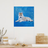Siberian Husky Puppy Poster (Küche)