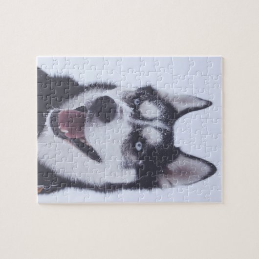 Siberian Husky Puzzle (Horizontal)