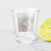 siberian-husky-red and white schnapsglas (Rückseite)