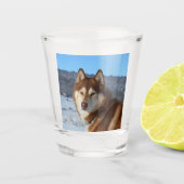 siberian-husky-red and white schnapsglas (Vorderseite)