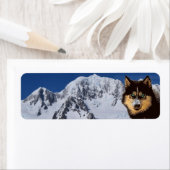 Siberian Husky-Rücksendeadresse (Insitu)