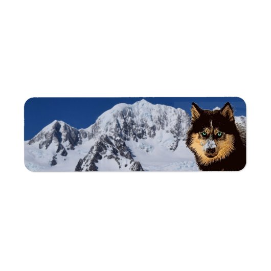 Siberian Husky-Rücksendeadresse (Vorne)