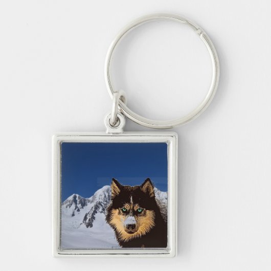 Siberian Husky Schlüsselanhänger (Vorne)