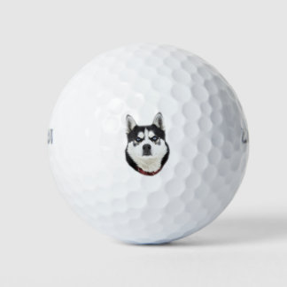Siberian Husky sieht wütend aus Golfball