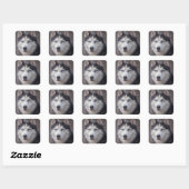 Siberian Husky Snow Quadratischer Aufkleber (Blatt)
