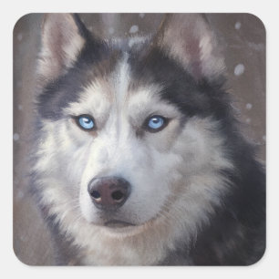Siberian Husky Snow Quadratischer Aufkleber