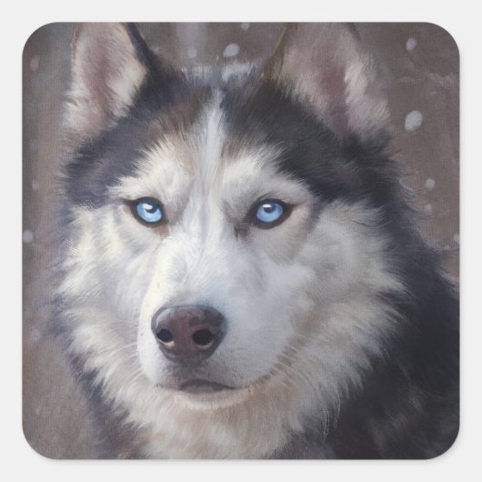 Siberian Husky Snow Quadratischer Aufkleber (Vorderseite)