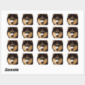 Siberian Husky Square Sticker (Blatt)