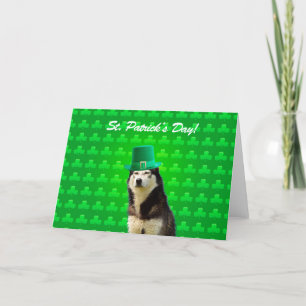 Siberian Husky St Patricks Day Clove Grußkarte Karte