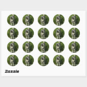 Siberian Husky Stickers (Blatt)