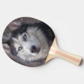 Siberian Husky Tischtennis Schläger (Seitenansicht)