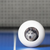 Siberian Husky Tischtennisball (Netto)