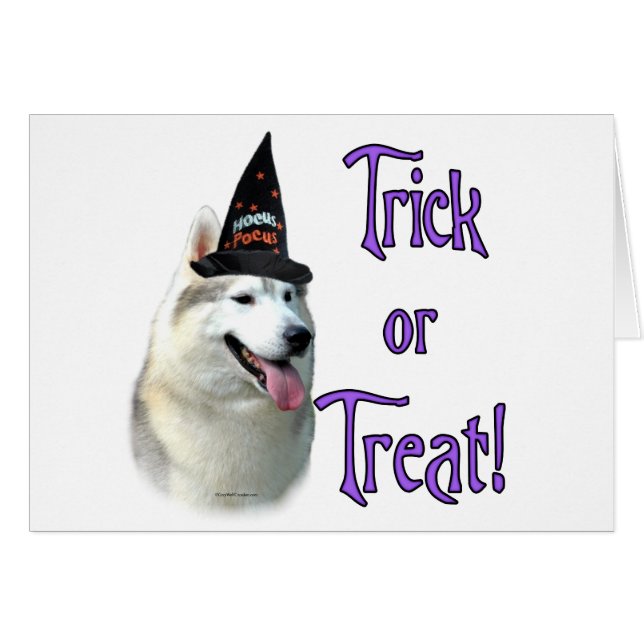 Siberian Husky Trick (Vorderseite (Horizontal))