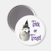 Siberian Husky Trick Magnet (Vorderseite/Rückseite)
