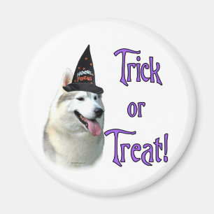 Siberian Husky Trick Magnet