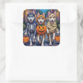 Siberian Husky Trick-or-Treating Halloween Costume Quadratischer Aufkleber (Tasche)