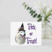 Siberian Husky Trick Postkarte (Stehend Vorderseite)